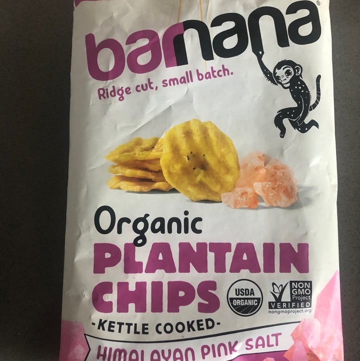 Barnana Organic Plantain Chips Review abillion
