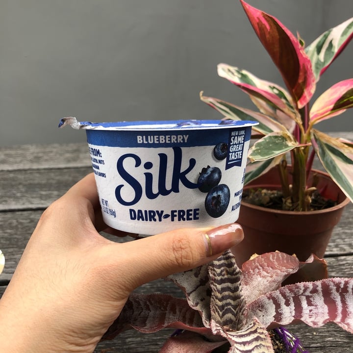 photo of Silk Blueberry Yogurt Alternative Made with Soy shared by @arxuann on  26 Sep 2020 - review