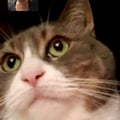 lindam00n @lindam00n profile image