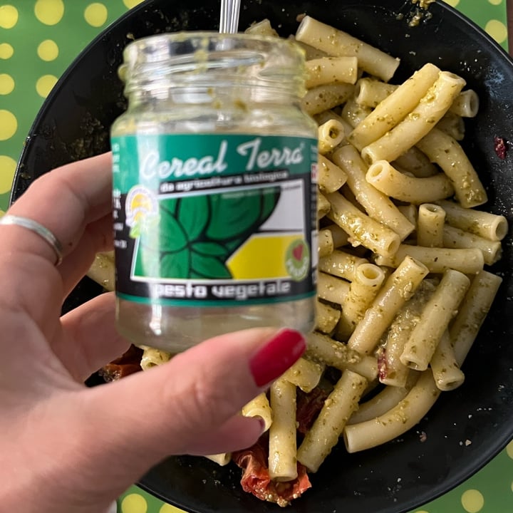 photo of Cereal Terra Pesto Vegetale shared by @nicole- on  16 Oct 2022 - review