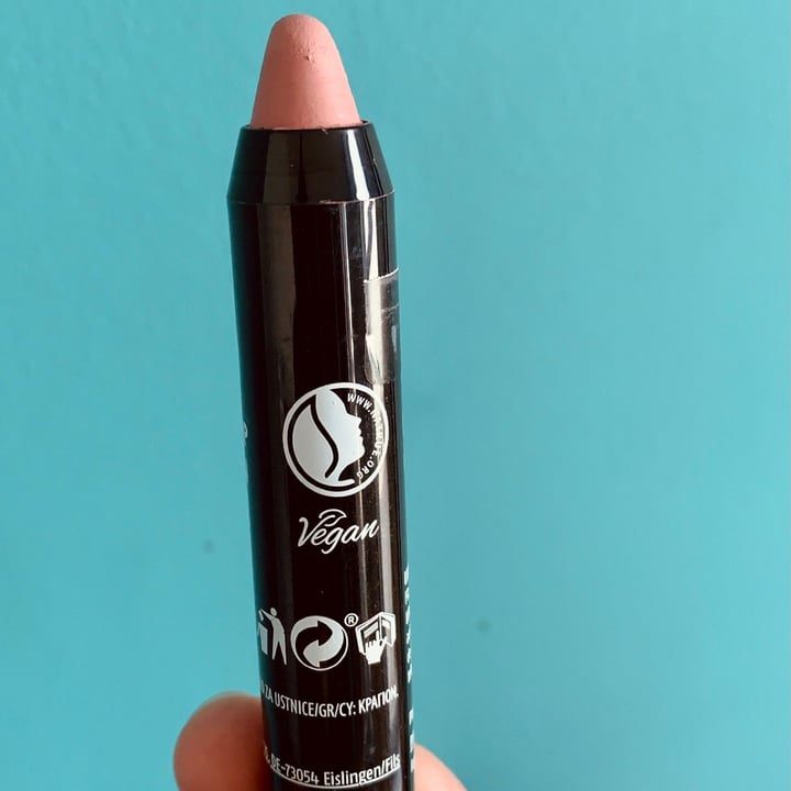 Cien Matt Lip Crayon Nº10 Rose Review | abillion