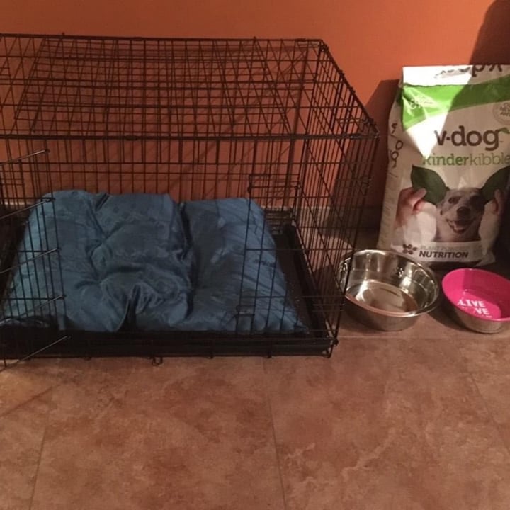 review photo of v-dog v-dog kind kibble 20 LB bag shared by @ravensky on 07 May 2020 - review