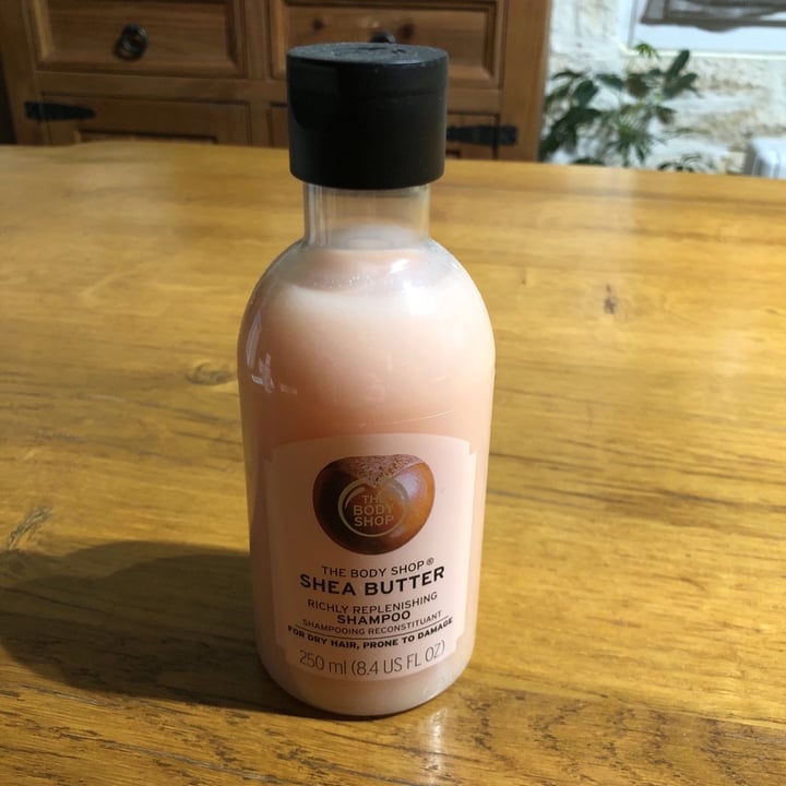 photo of The Body Shop Shea Butter hair conditioner shared by @audrey17000 on  10 Mar 2020 - review
