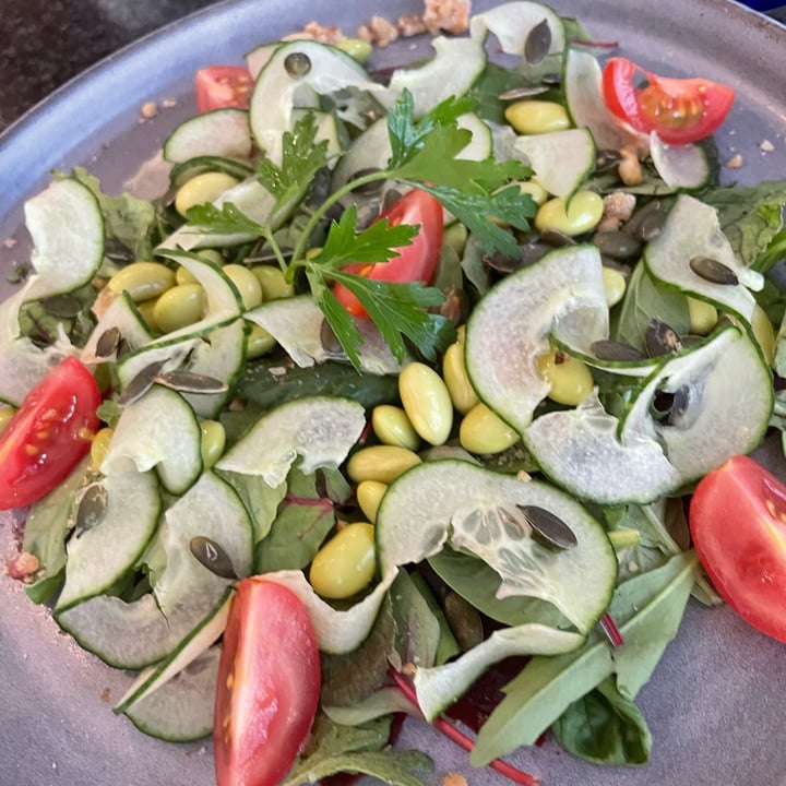 photo of Harvest Culture Eaterie Garden Salad shared by @mariajamison on  07 Apr 2022 - review