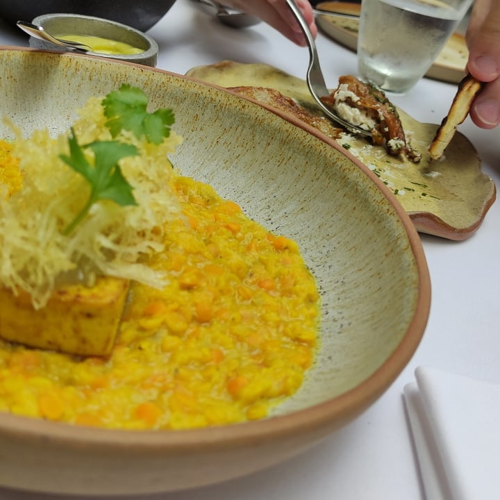 photo of Gioia Restaurante & Terrazas Dahl de lentejas turcas con tofu grillado y papas pay shared by @mababu on  05 Feb 2022 - review