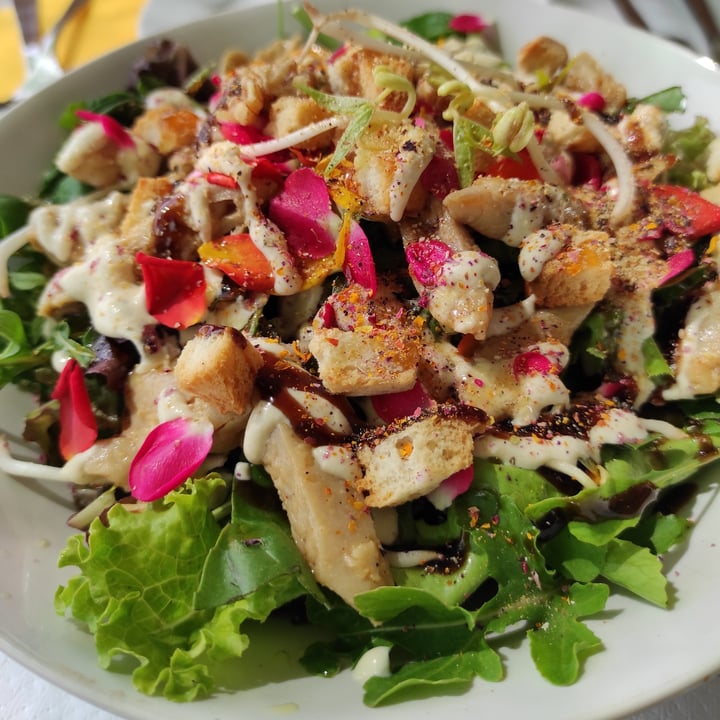 review photo of El Invernadero Restaurante Ensalada cesar shared by @perezzamedais on 07 Oct 2021 - review