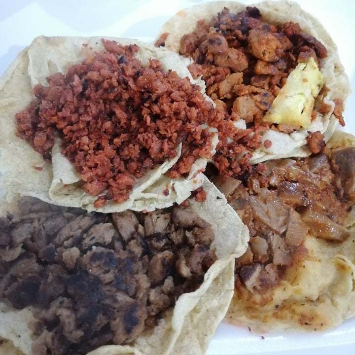 review photo of Taqueria El Veganito Taquitos Surtidos shared by @camilaruiz on 21 Jan 2021 - review