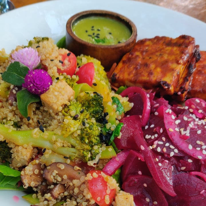 photo of Bean Me Up Restaurant Aphrodisiac Salad shared by @goa on  01 May 2020 - review