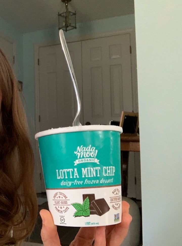 photo of NadaMoo! Lotta Mint Chip Dairy Free Frozen Desert shared by @allhess on  30 Mar 2020 - review