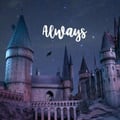 angelapotter @angelapotter profile image