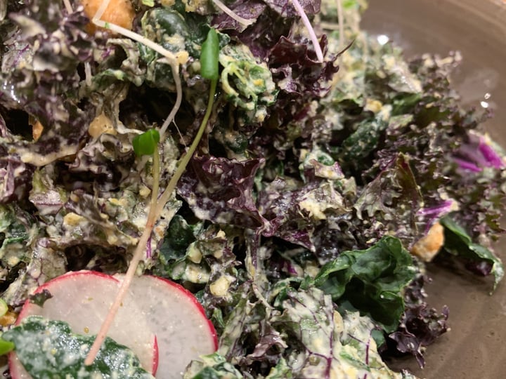 review photo of Life Alive Organic Cafe Living Caesar shared by @aestheticallyadventurous on 03 Apr 2019 - review