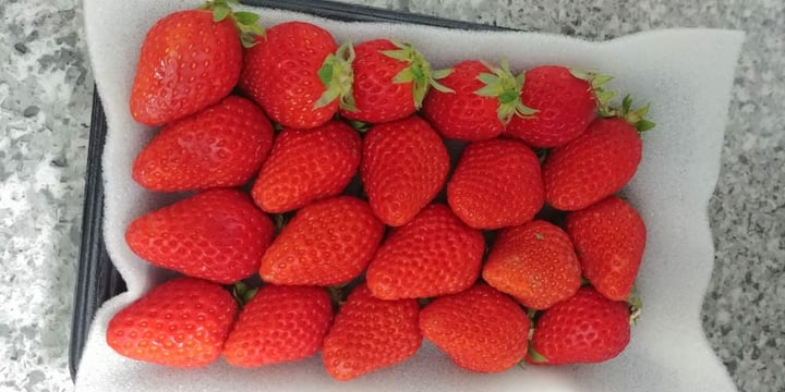 photo of Don Don Donki Orchard Central Kumamoto Strawberries shared by @mushroomtarian on  19 Feb 2020 - review