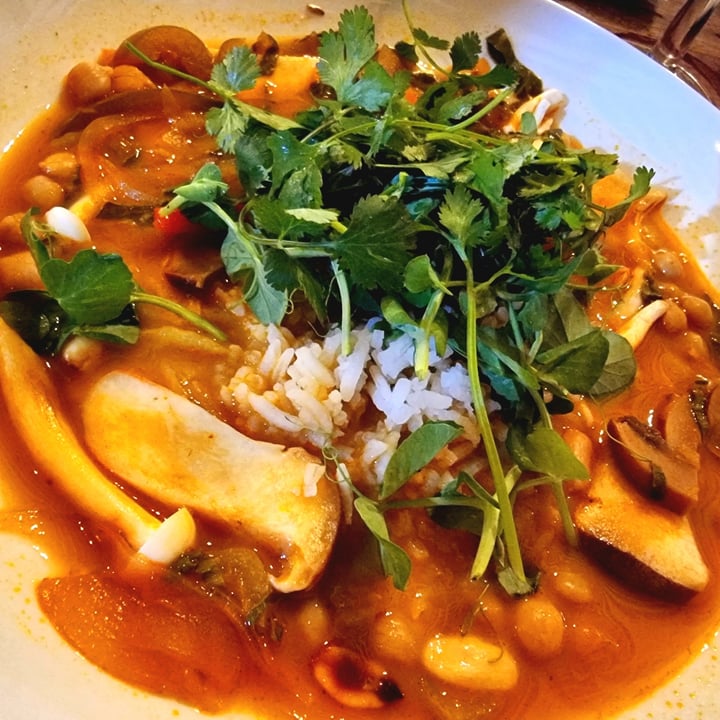 photo of Delta Cafe & Don Quixote Chickpea and mushroom curry with rice shared by @natsdoesvegan on  07 Feb 2022 - review