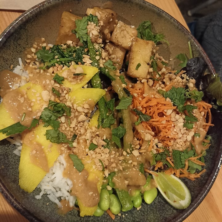 photo of Kind Kitchen Thai Bowl shared by @trajkovskagutierrez on  10 Apr 2022 - review