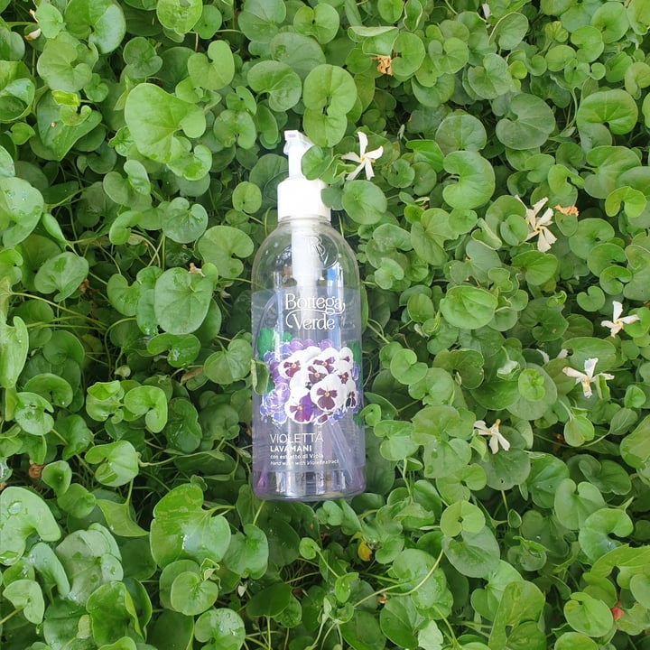 photo of Bottega Verde Lavamani Violetta shared by @ilariasalvadori on  15 Jun 2022 - review