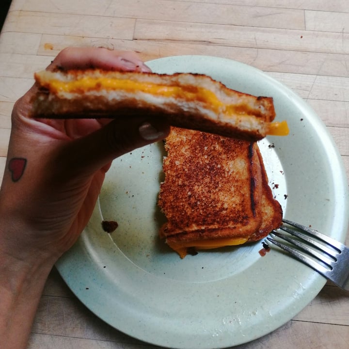 review photo of Violife Cheddar Slices shared by @haleylenora on 09 Aug 2021 - review