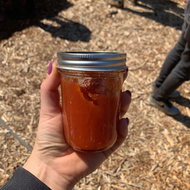 photo of Vegan By Dani Spicy Tomato Jam shared by @azitamir on  13 Mar 2021 - review
