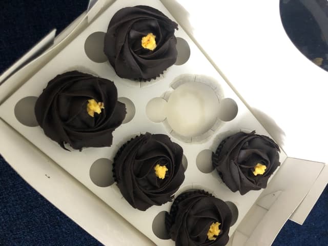 Photo of the dish “Chocolate Custard Cupcakes”