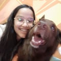 camila-araujo @camila-araujo profile image