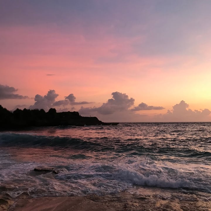 review photo shared by @vanessaainsley on 12 Jun 2022 - post
