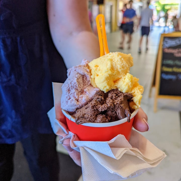 review photo of I Dream of Gelato Vegan Ice Cream shared by @karinb on 13 Jun 2022 - review