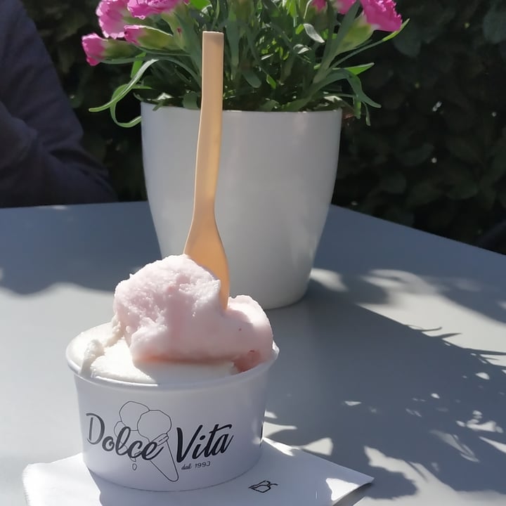 photo of Gelateria yogurteria caffetteria Dolce Vita Gelato Vegano shared by @vivib on  24 Apr 2022 - review