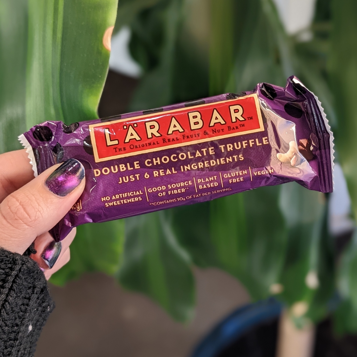Larabar Double Chocolate Truffle Reviews abillion