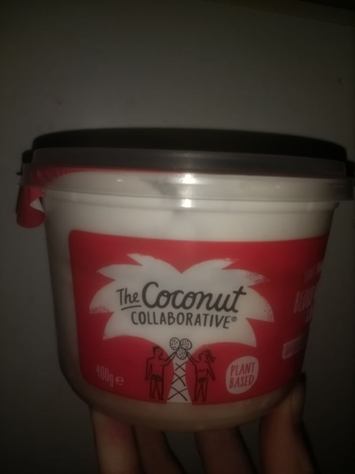 photo of The Coconut Collaborative Blueberry Yogurt shared by @eve070 on  05 Nov 2019 - review