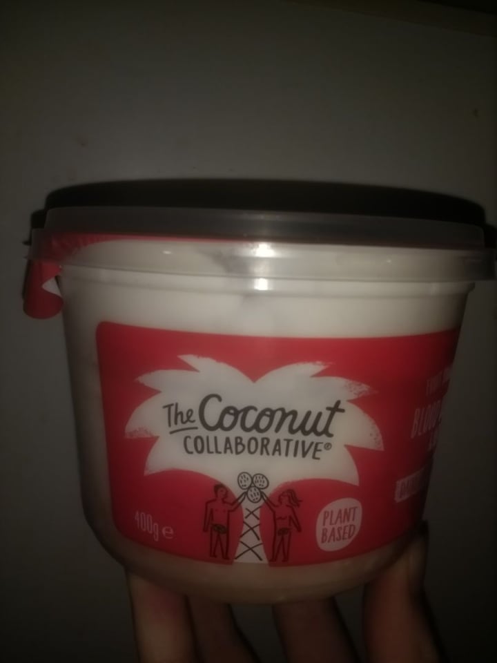 review photo of The Coconut Collaborative Blueberry Yogurt shared by @eve070 on 05 Nov 2019 - review