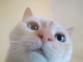 nurvola2003 @nurvola2003 profile image