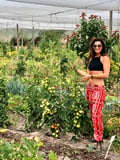 @ecodivanatural profile image