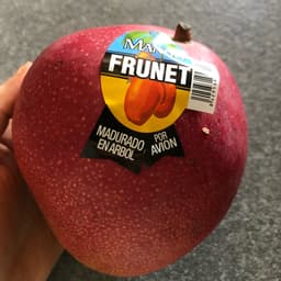 Prunet Mango