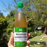 Wild Leaf Kombucha