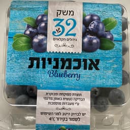 משק 32 - גידולים חקלאיים אננס ישראלי