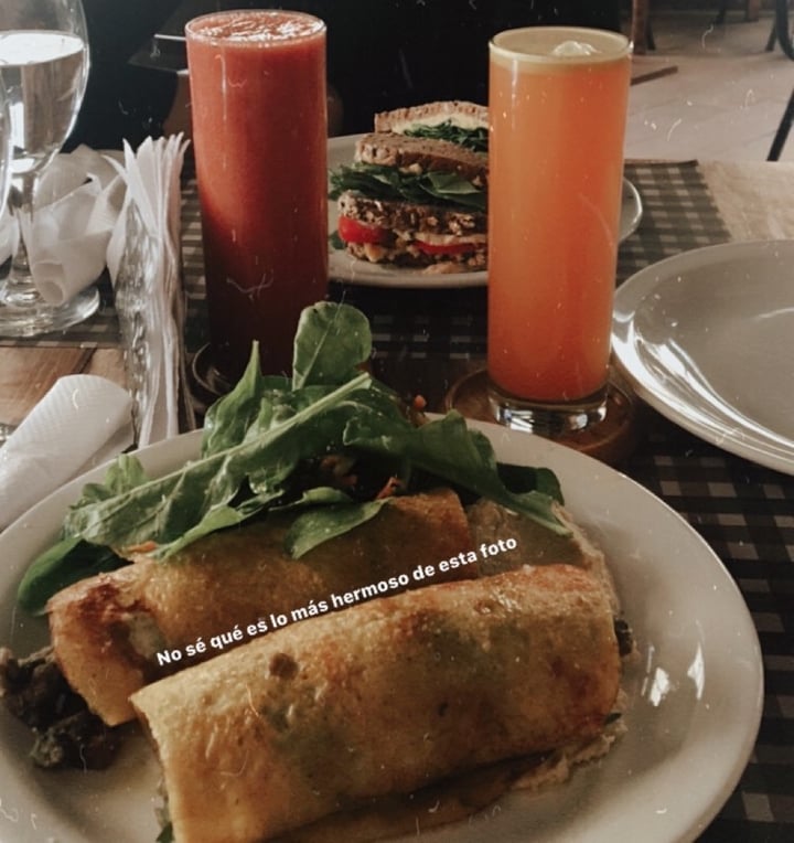 photo of Hans Cocina Natural Canelones Rellenos shared by @habitarmetamorfosis on  09 Jan 2020 - review