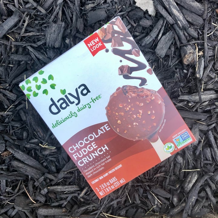 photo of Daiya Chocolate Fudge Crunch Coconut non-dairy Frozen Dessert shared by @alexanicole on  20 Nov 2021 - review