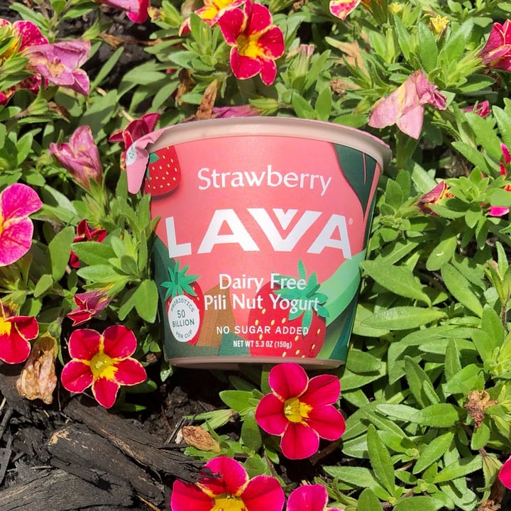 photo of Lavva Strawberry Pili Nut Yogurt shared by @alexanicole on  12 May 2022 - review