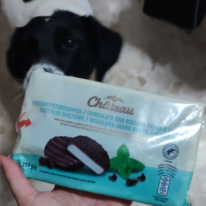photo of Château Chocolate relleno sabor menta shared by @theandalusianqueer on  13 Oct 2022 - review