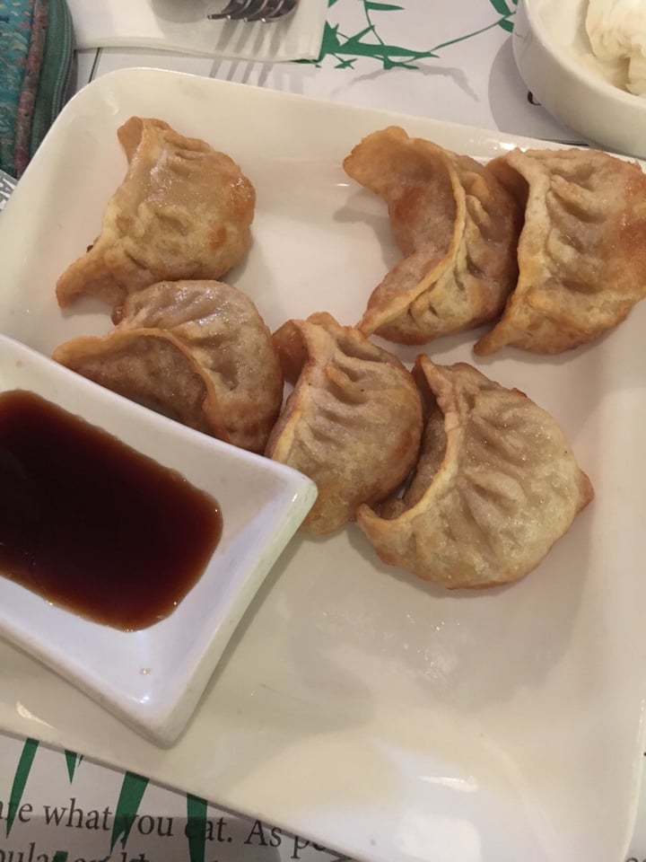 photo of Veggie Heaven Fried dumplings shared by @veggie5 on  13 May 2019 - review