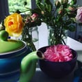 marieblue @marieblue profile image