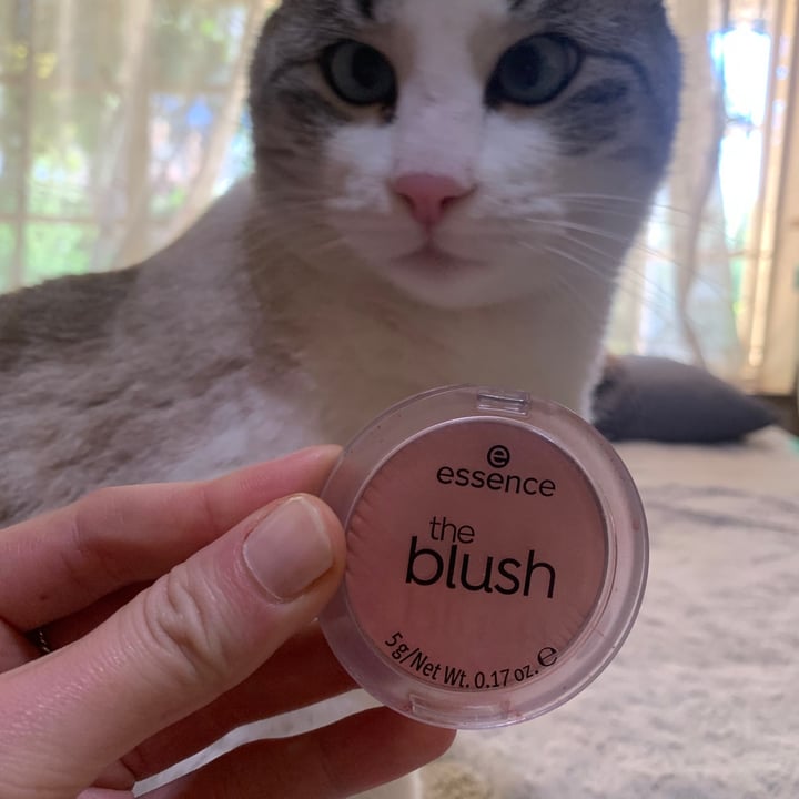 photo of Essence Cosmetics The Blush shared by @linepretorius on  11 May 2021 - review
