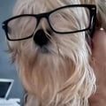 janebee @janebee profile image