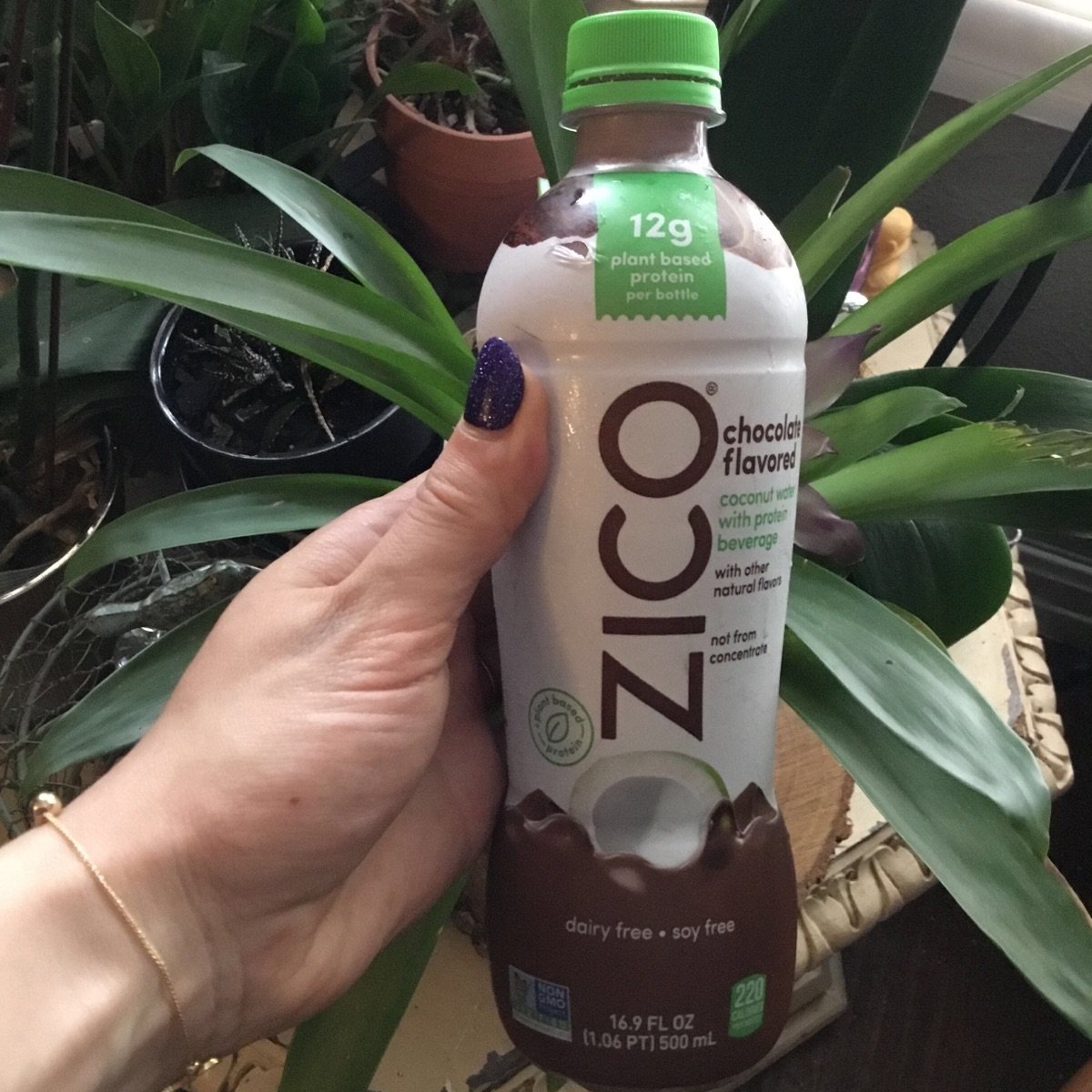 Zico Zico Chocolate Protein Coconut Water Reviews abillion