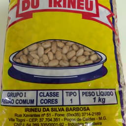 Du Irineu