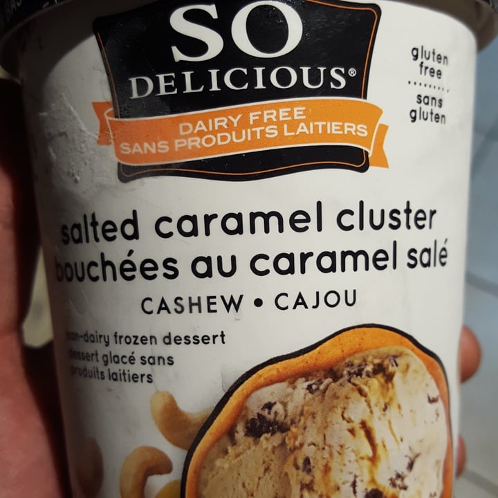 photo of So Delicious Dairy Free Salted Caramel Cluster Cashewmilk Frozen Dessert shared by @n8r on  20 Jun 2021 - review