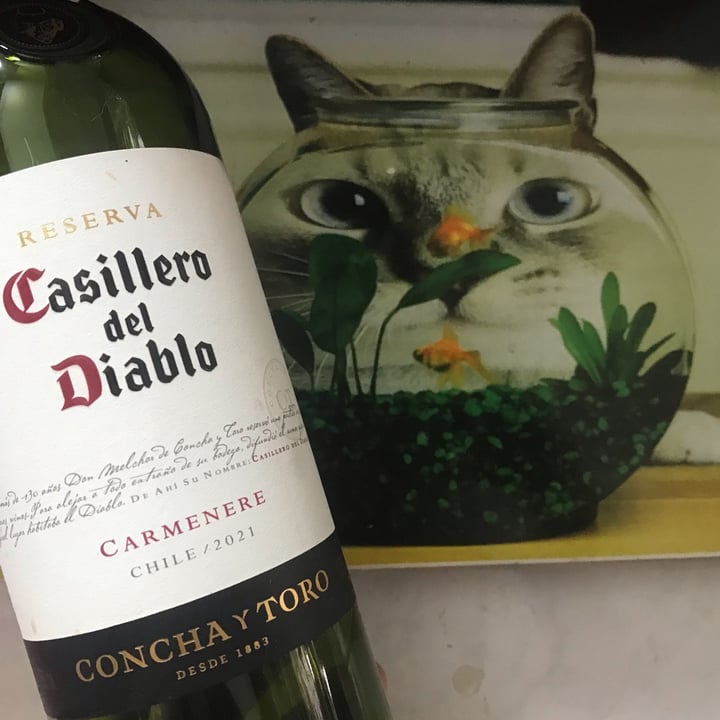 photo of Casillero del Diablo Casillero Del Diablo - Cabernet sauvignon shared by @catialee on  12 Oct 2022 - review