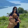 @vanessalibralato profile image