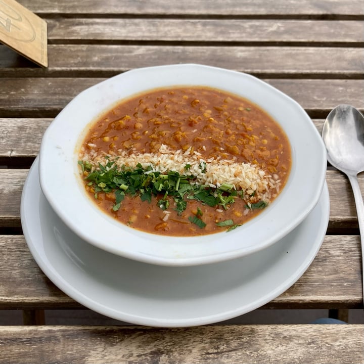 photo of Vegemiasto Lentil Soup shared by @unclenorton on  23 May 2022 - review