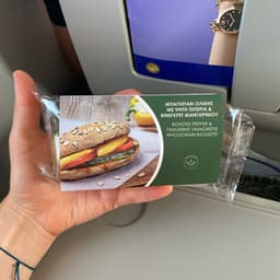 Aegean Airlines