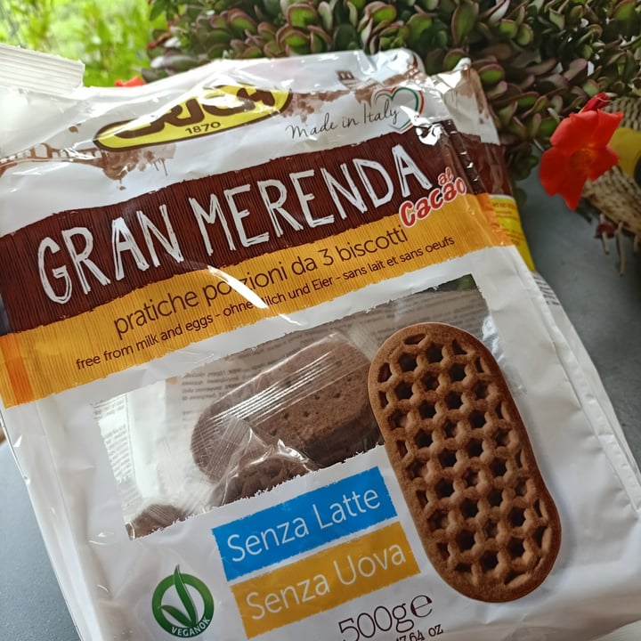 photo of Crich Gran merenda al cacao shared by @raffa70s70 on  20 Jun 2021 - review